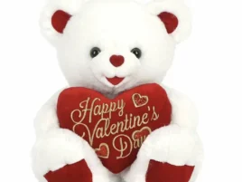 Valentine Season